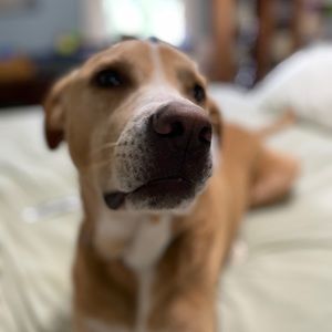 Meet your Posher, Kylie